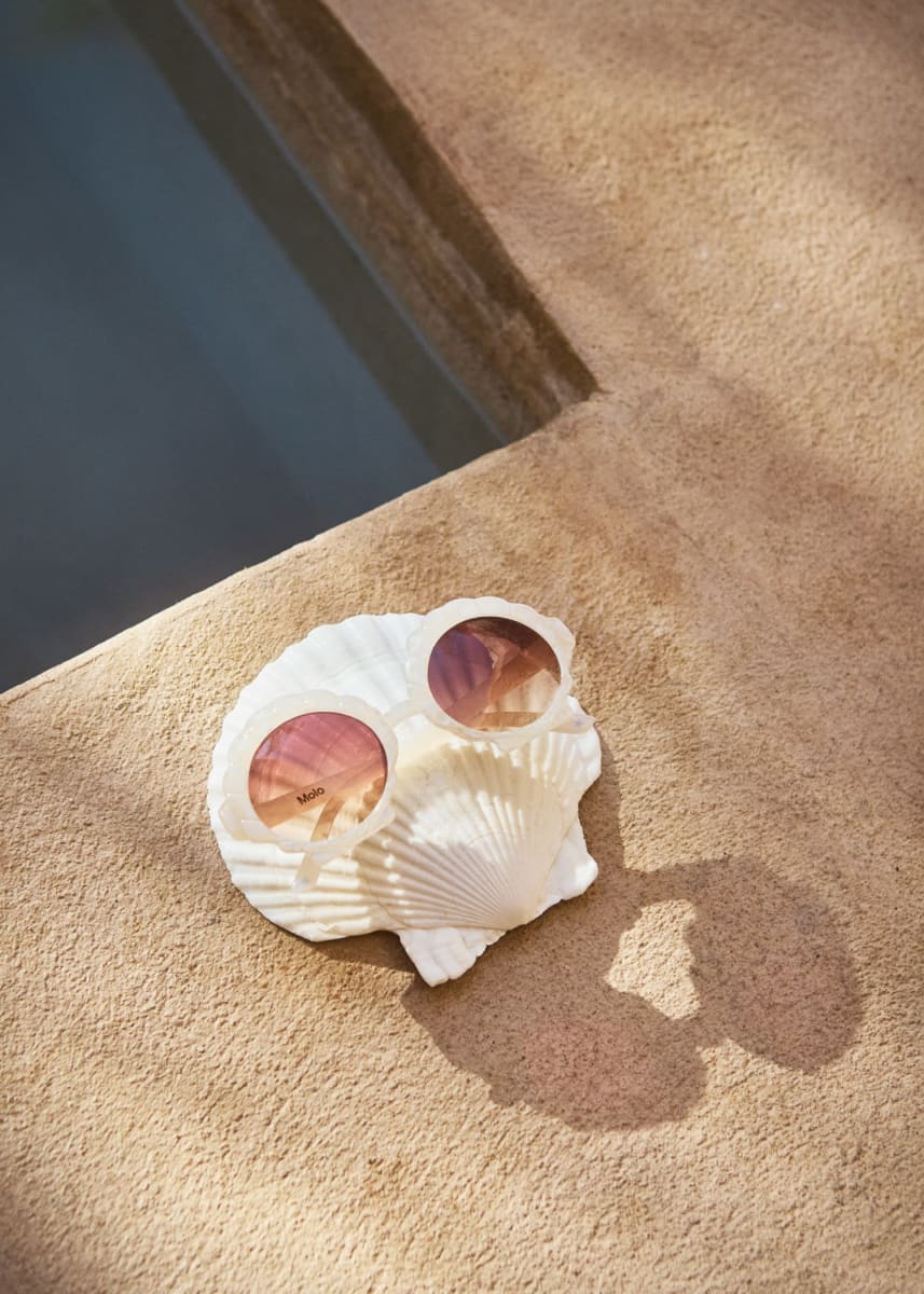 Seashell - Seashell White