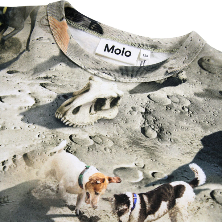 Rill - Moon Dogs