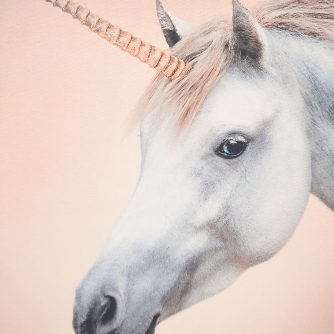 Mountoo - Born A Unicorn