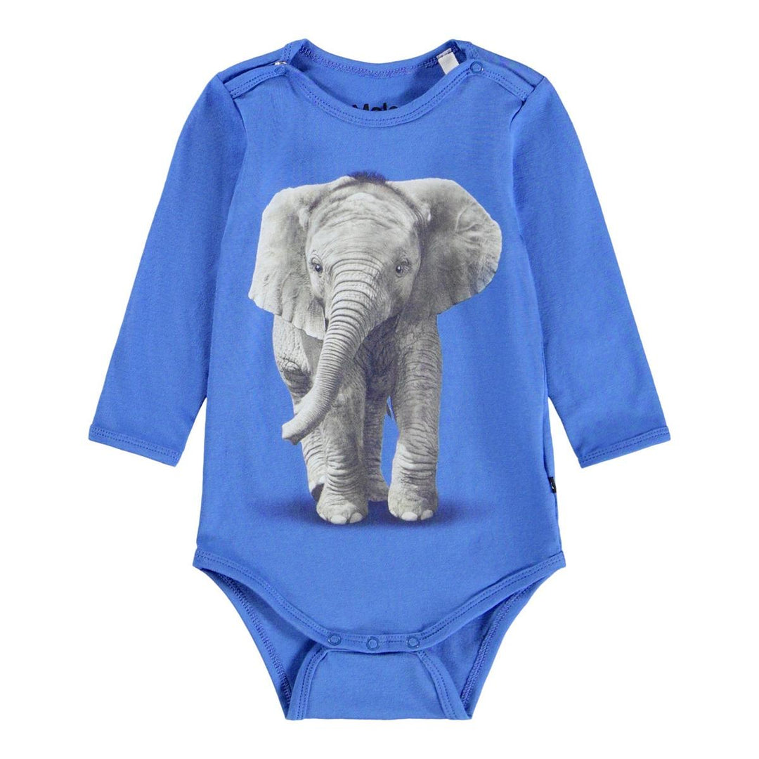 Foss - Baby Elephant