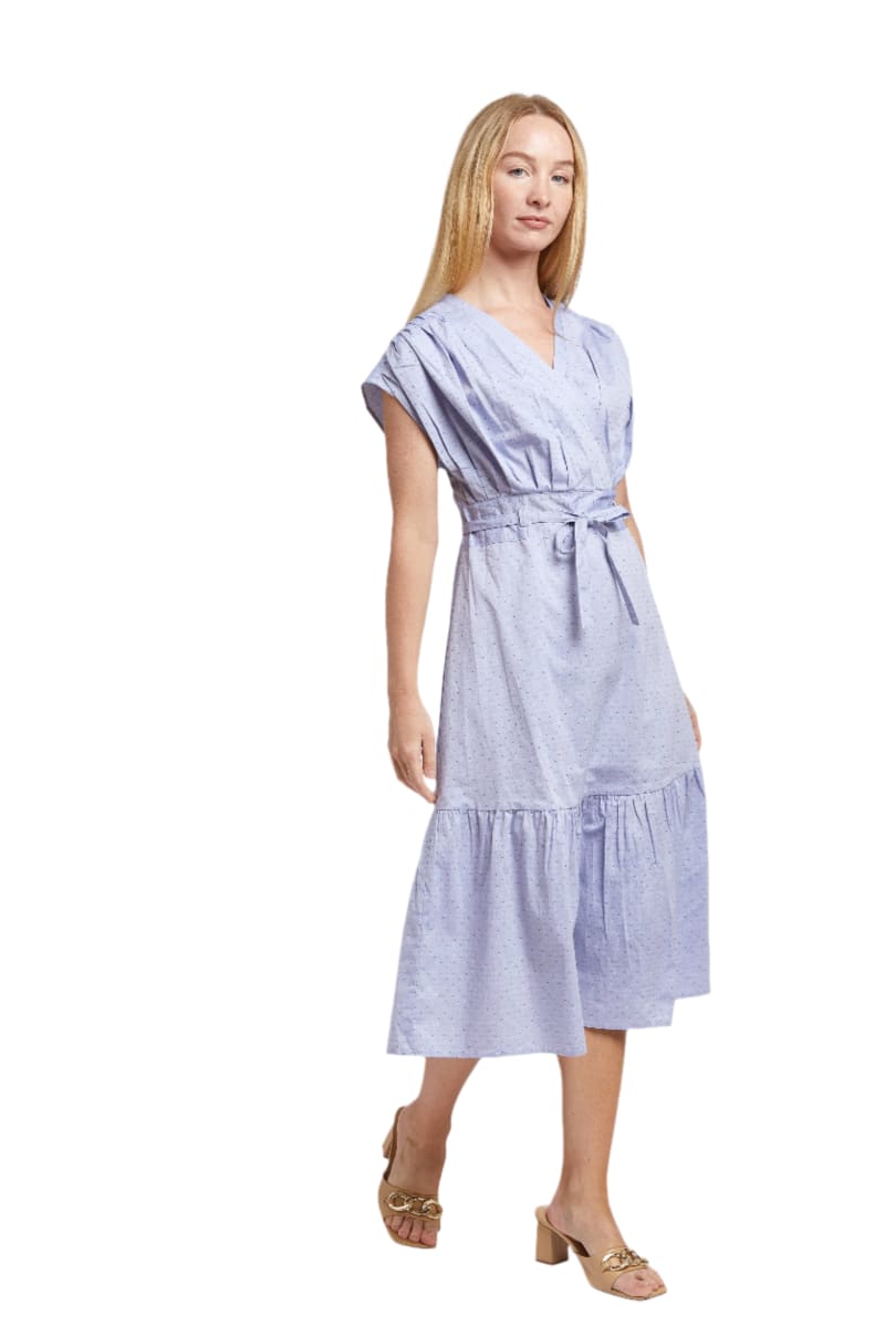 Poppy Dress - Blue Dot