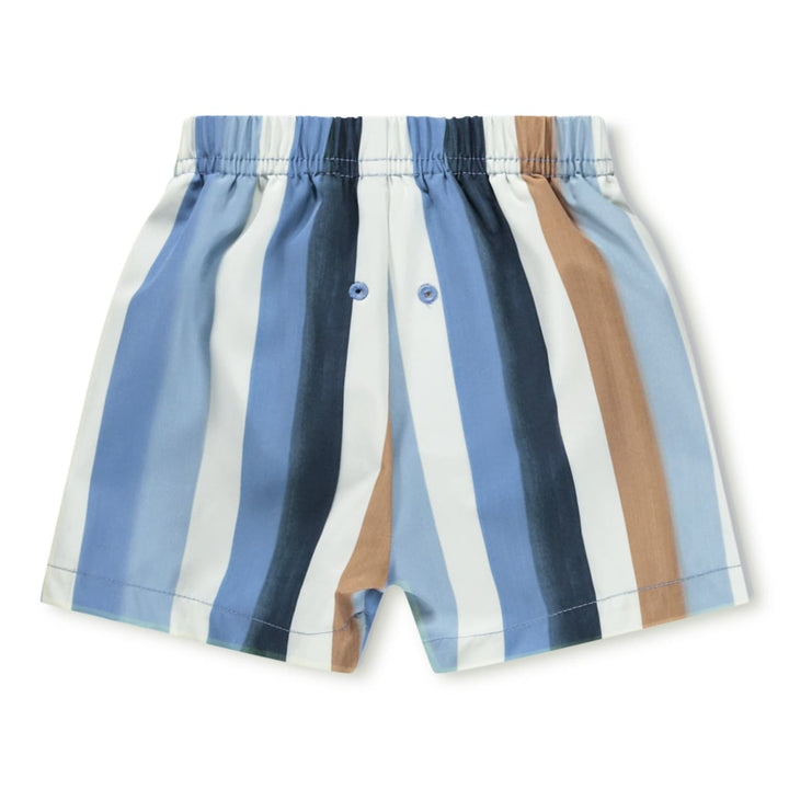 Newton - Painted Stripes