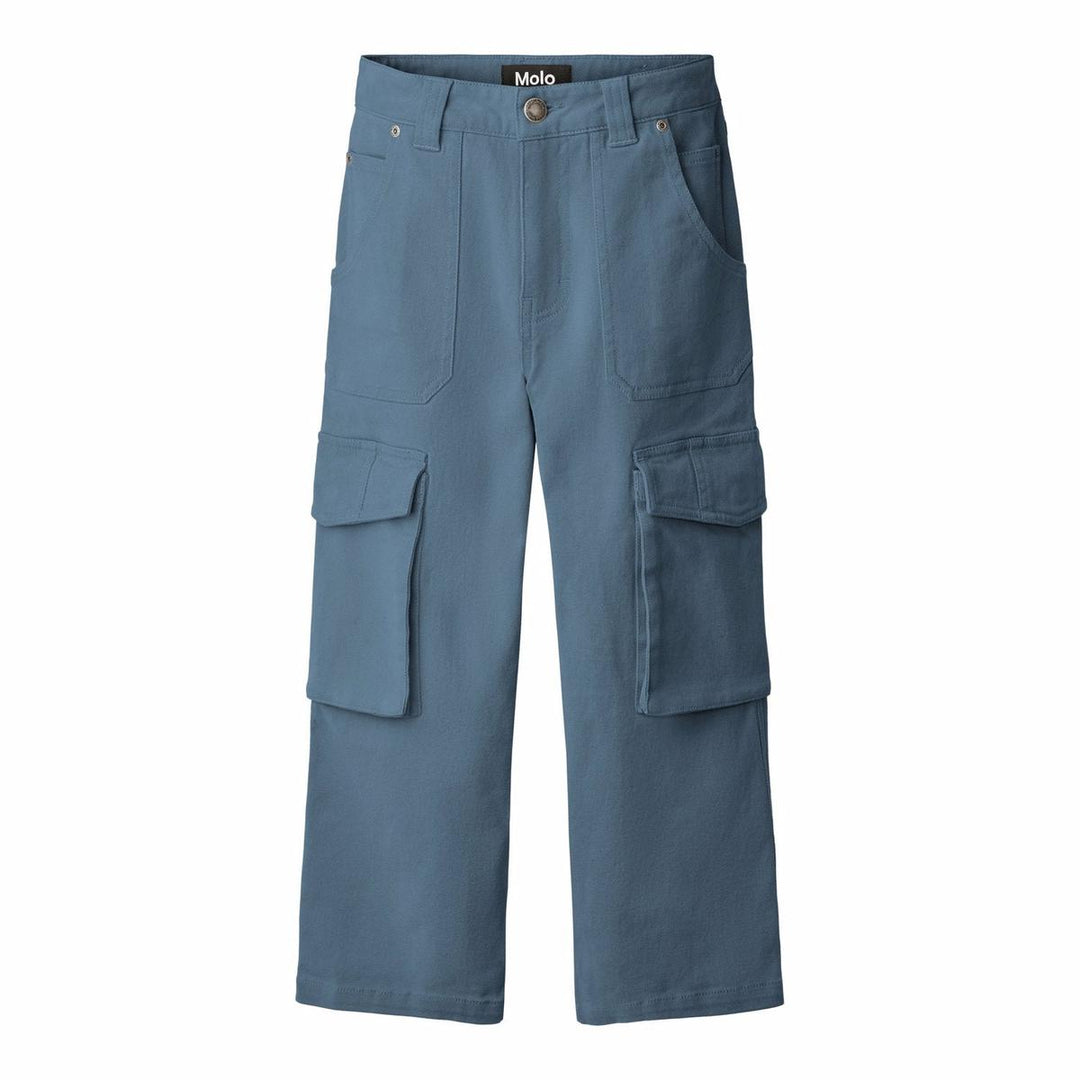 Alter Woven Pants - Blue Dust