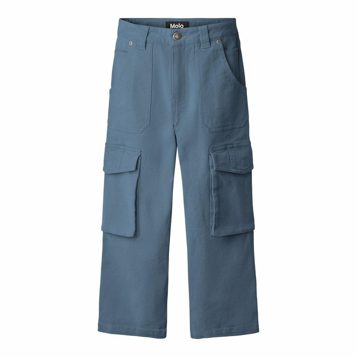 Alter Woven Pants - Blue Dust