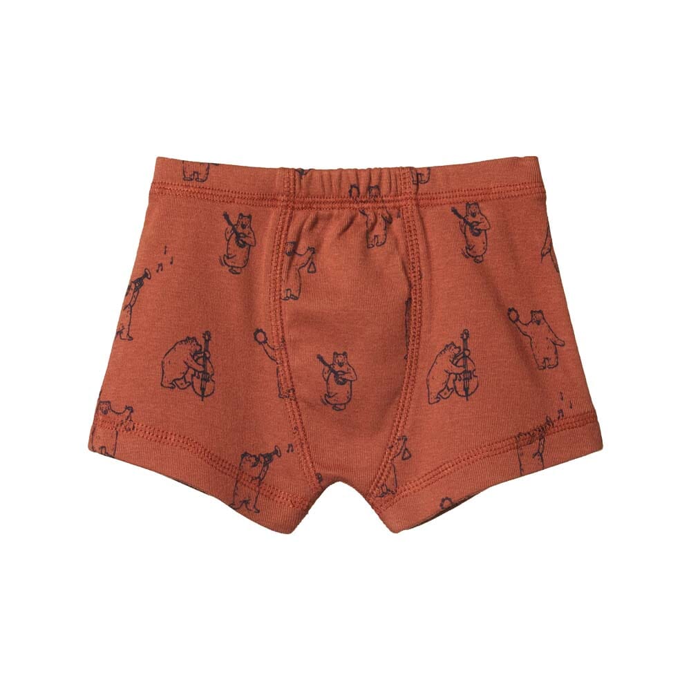 Boxer Shorts - Bluegrass Bears Coco Print