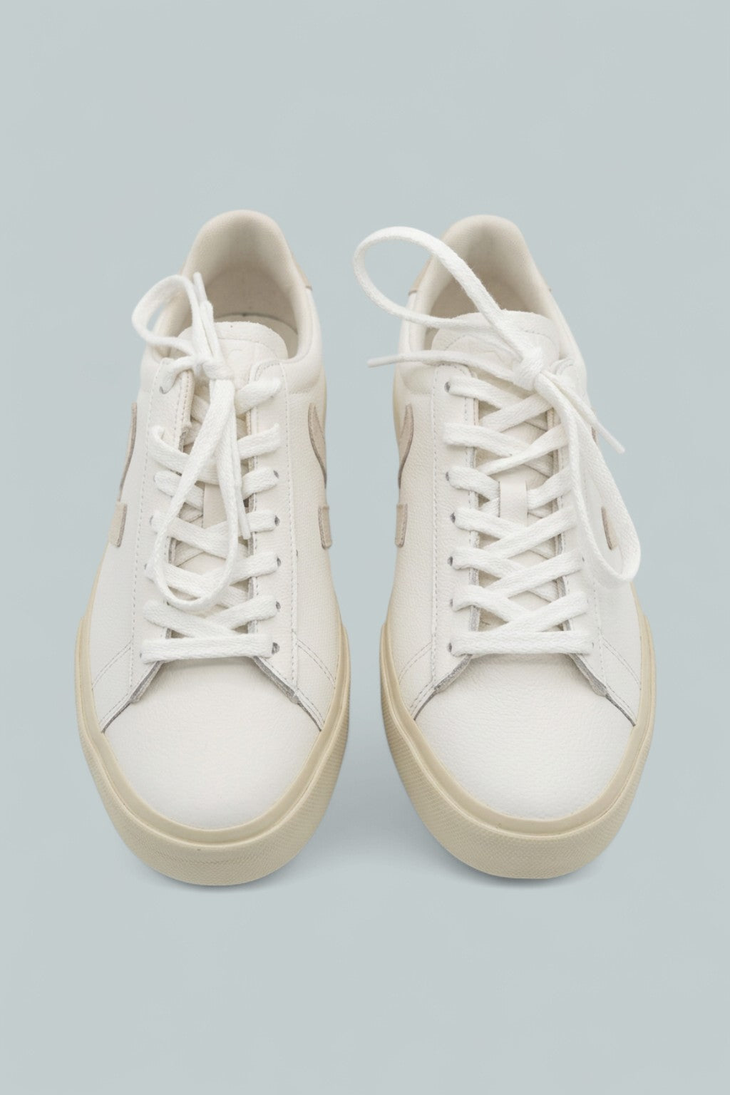 Campo Low Top Sneakers - White/Suede