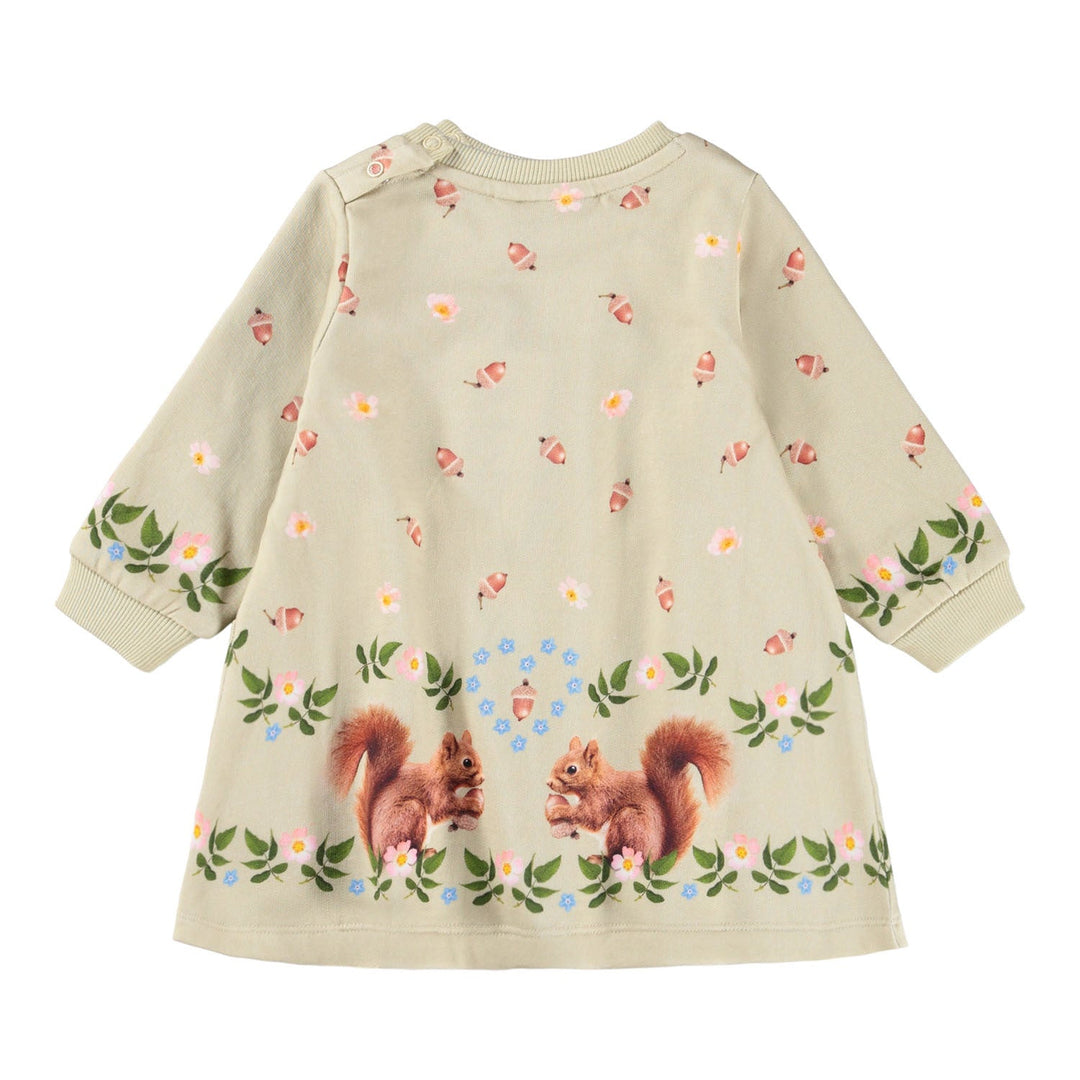Corey Dress Long Sleeve - Little Squirrels
