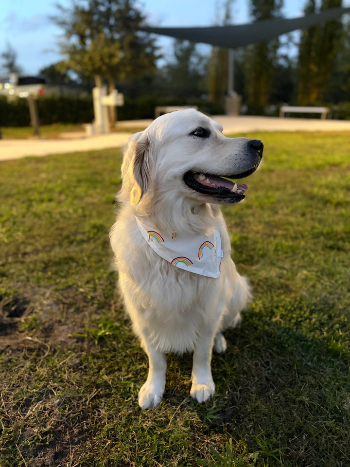 2-Pack Pet Bandana Bundle