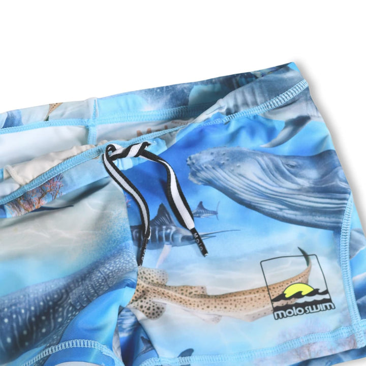 Norton - Air Brush Ocean