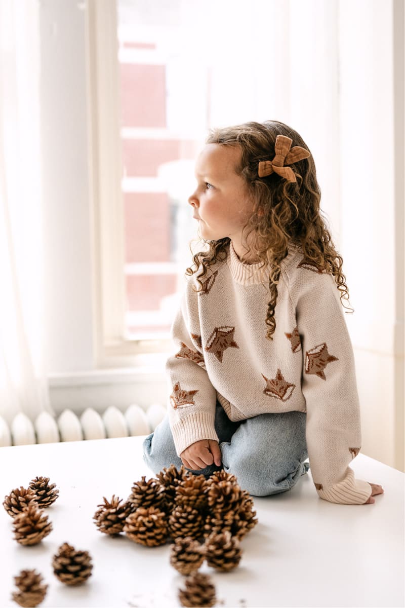 Organic Fox Knit Sweater - Pale Pink