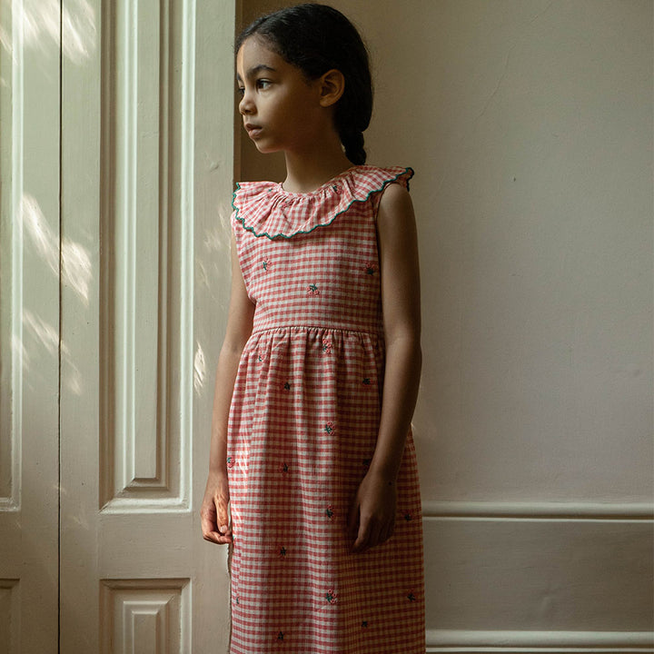 Clara Gingham Dress - Cherry Gingham Dresses + Skirts Bebe Organic 
