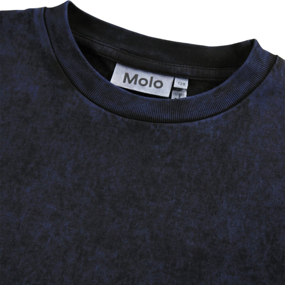 Rodney - Blue Overdye