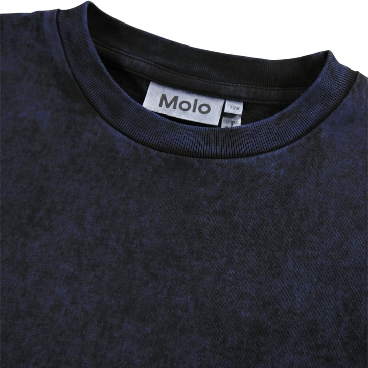 Rodney - Blue Overdye
