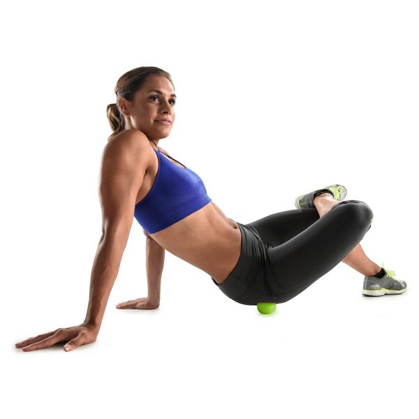 12" Go Roller with New Ultra Fin Core