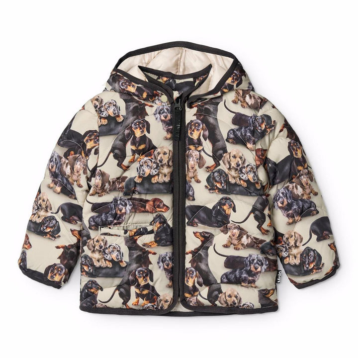 Harmony Jackets - Dashshund Soft