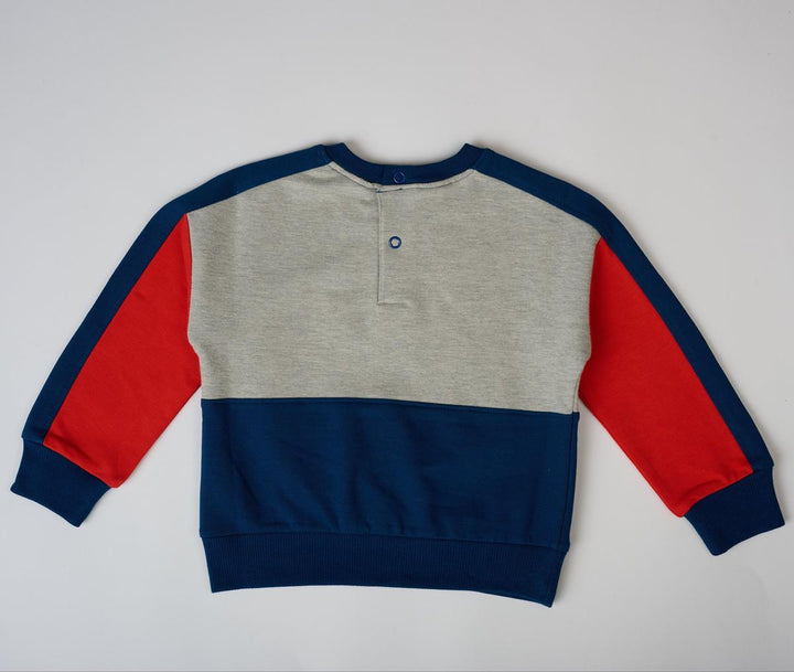 Sporty Color block Sweatshirt - Grey