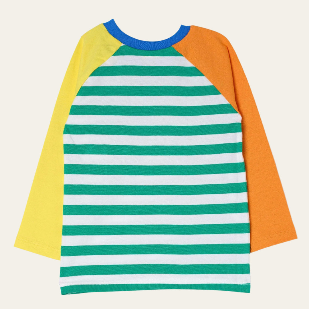 Long Sleeve Multicolor Raglan T-Shirt - Blarney Green Stripes