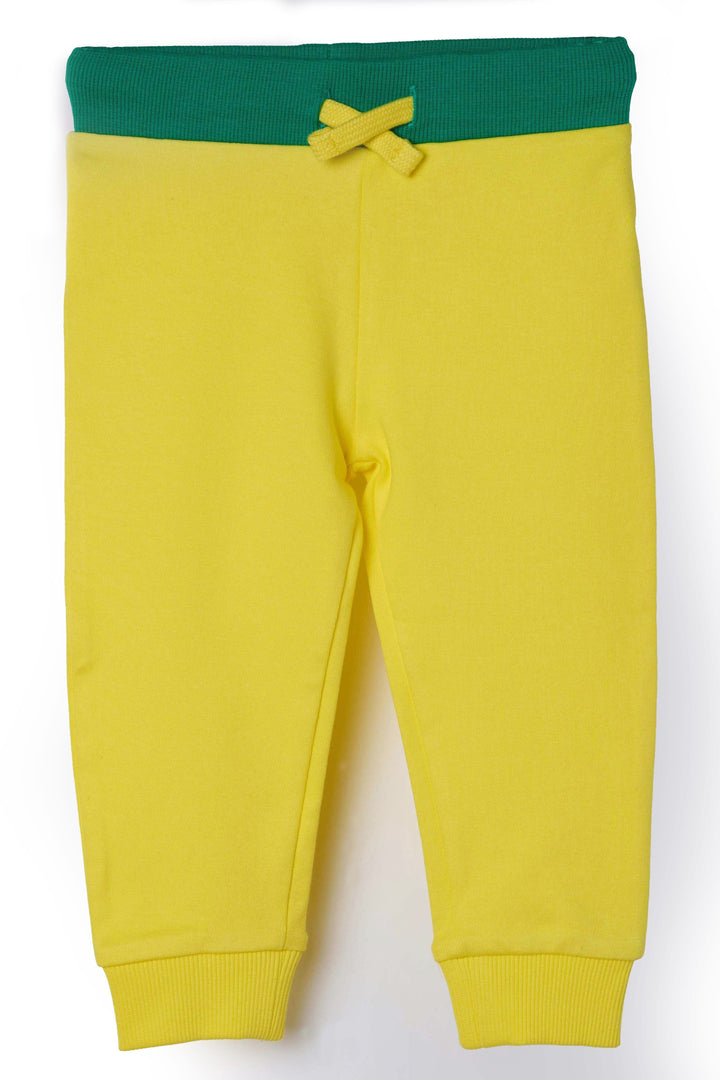 Baby Pants Joggers - Buttercup Yellow