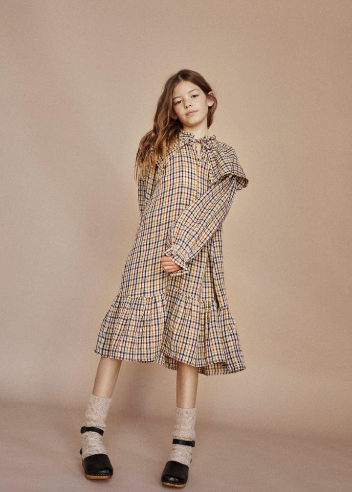 Benerice Dress - Multicolor Check