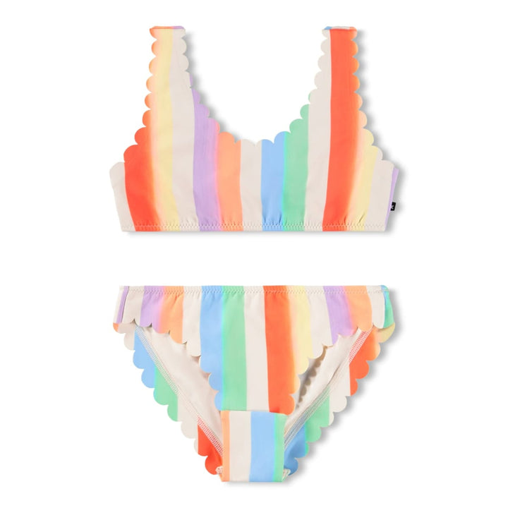 Nolina - Rainbow Paint