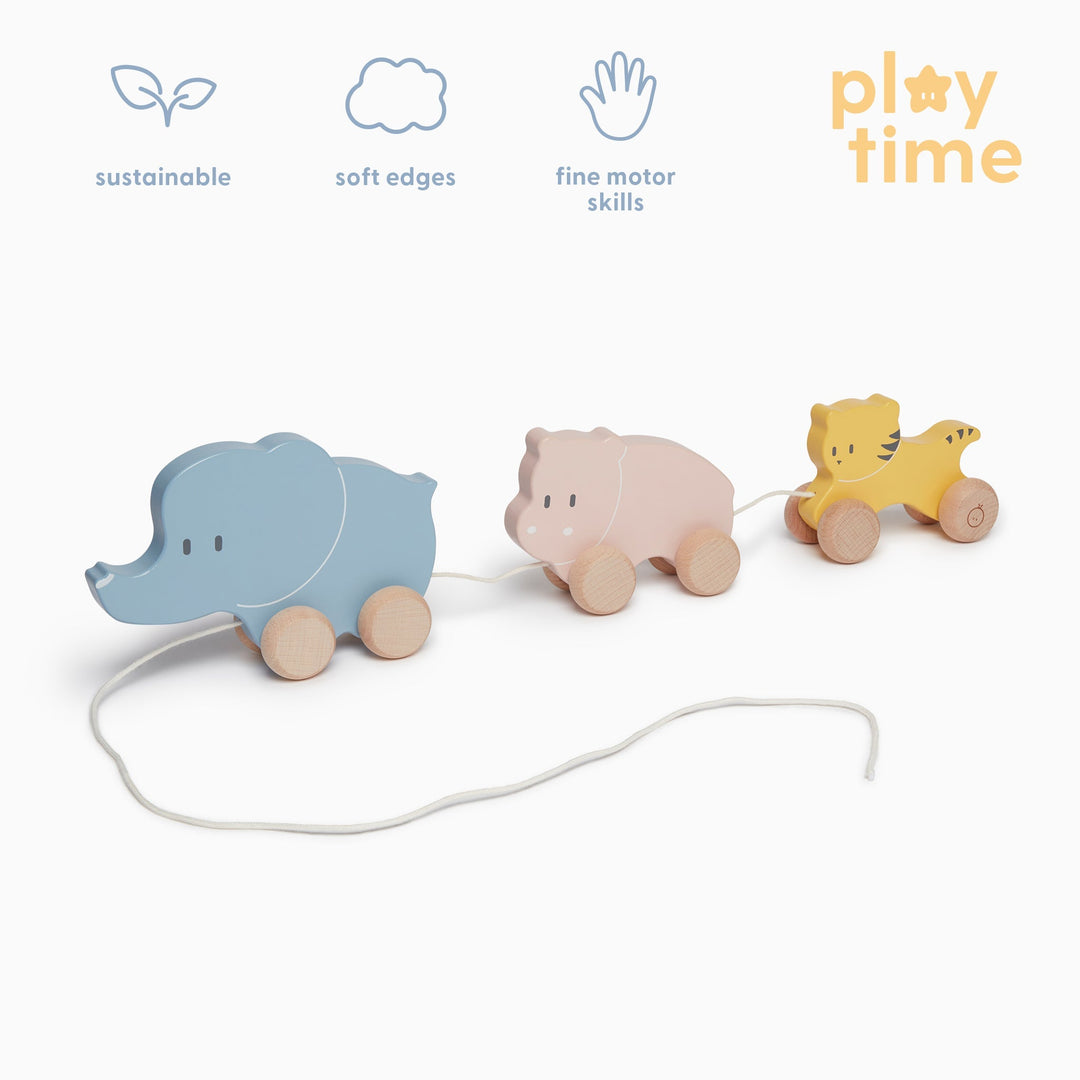 Wooden Animal Pull Along Toy - Animal