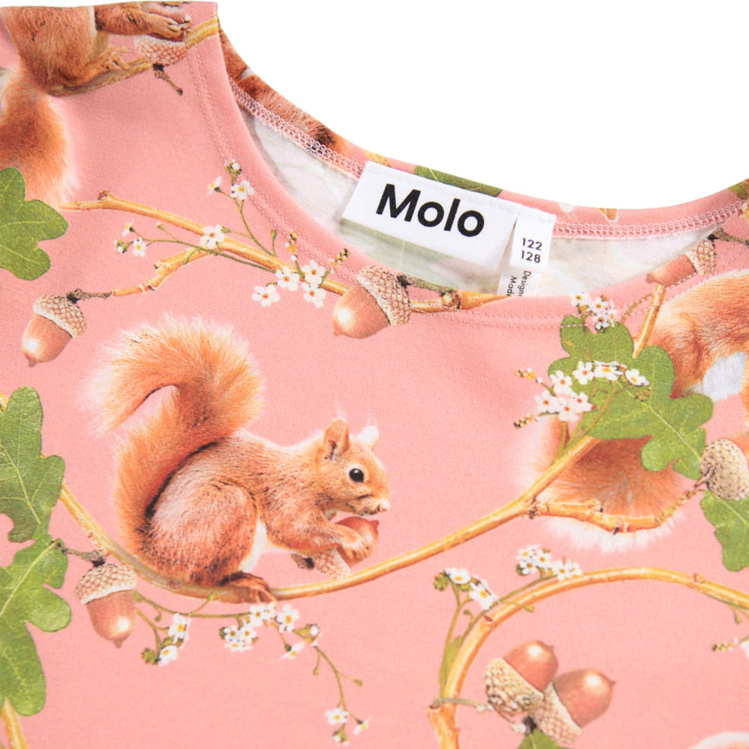 Corelie - Squirrel Forest
