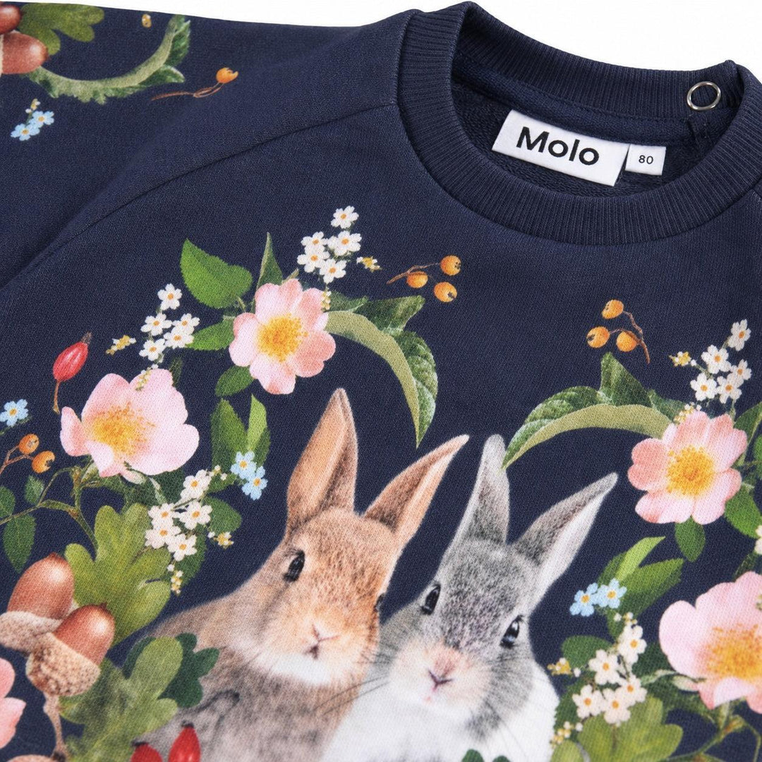 Disc - Forest Bunny