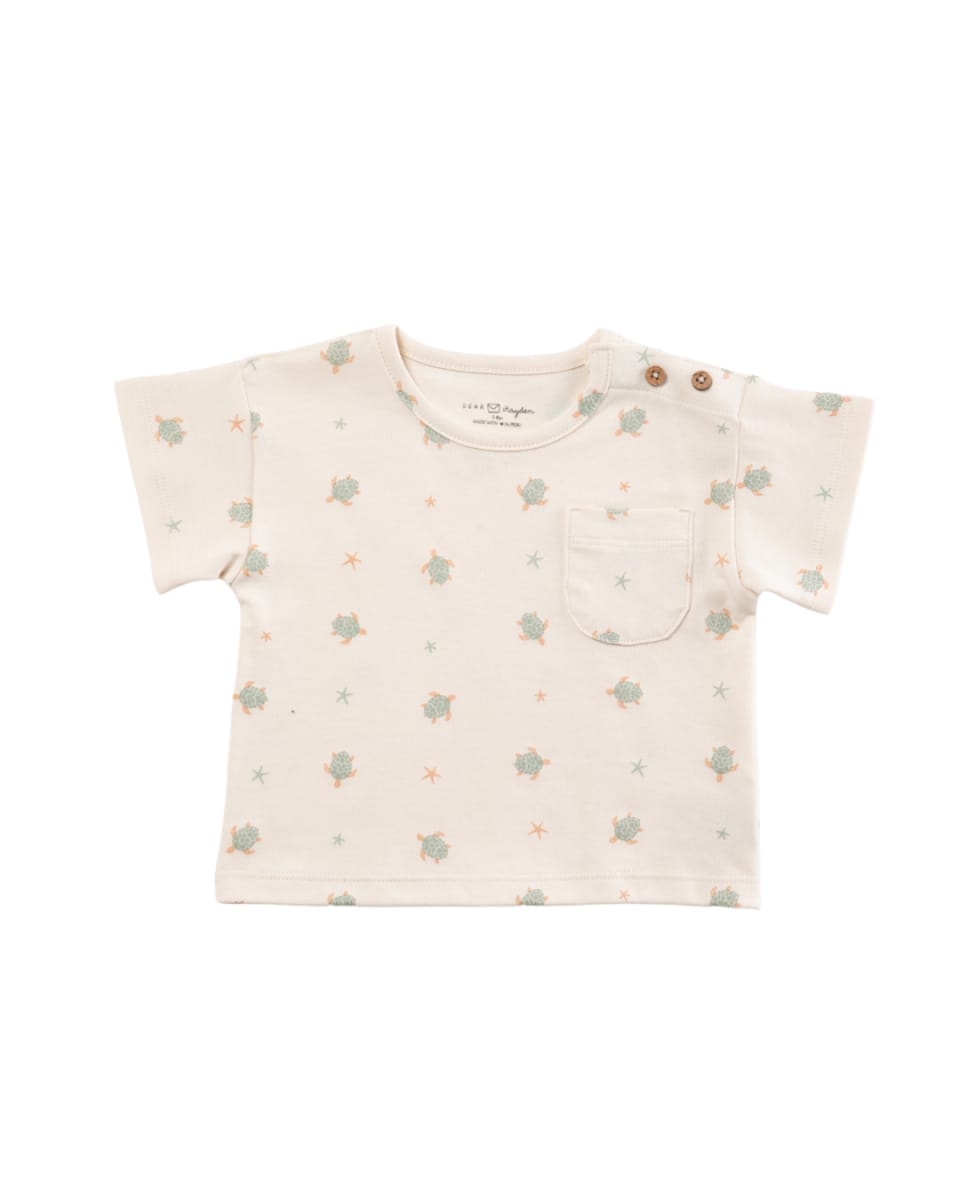 Noah Tee - Turtles
