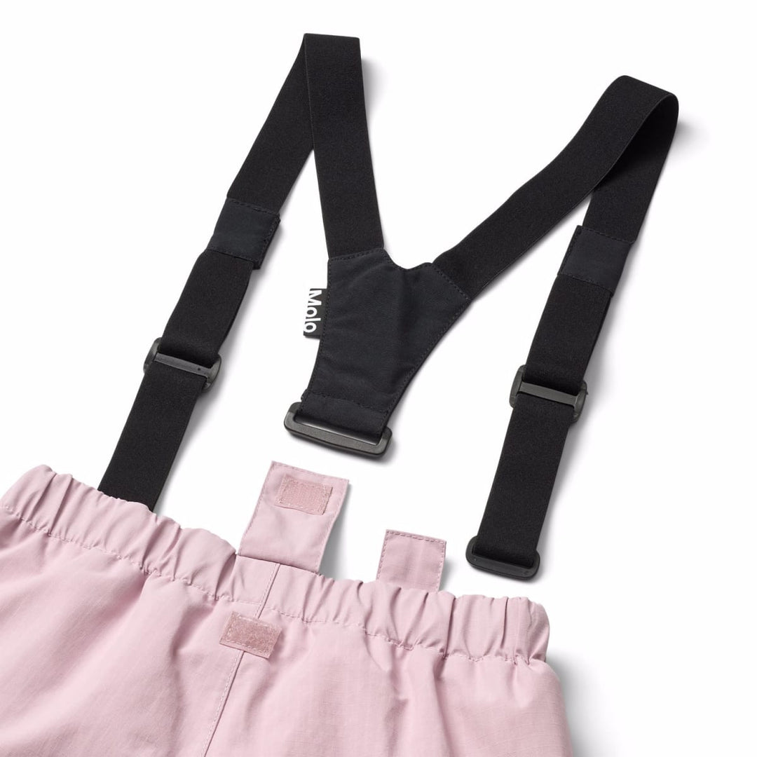Paxton - Blue Pink