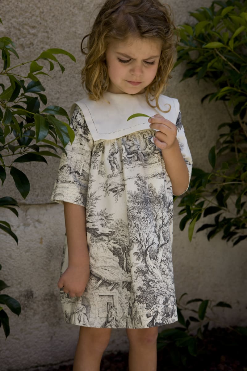 Frida - Black Toile De Jouy