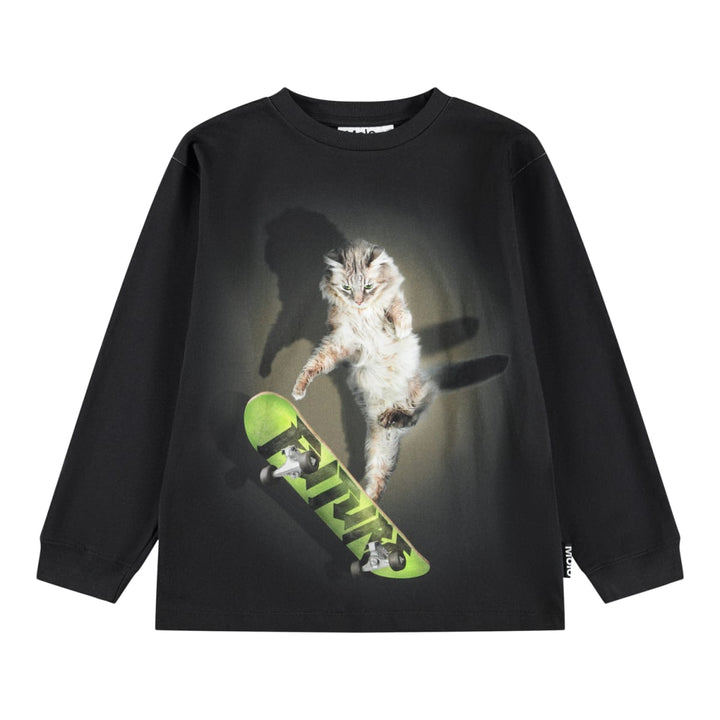 Rube - Skate Cat