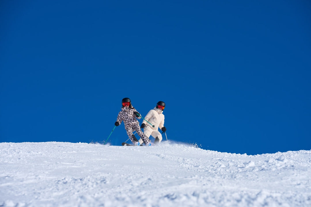 Hansine Pro - Snow Leo