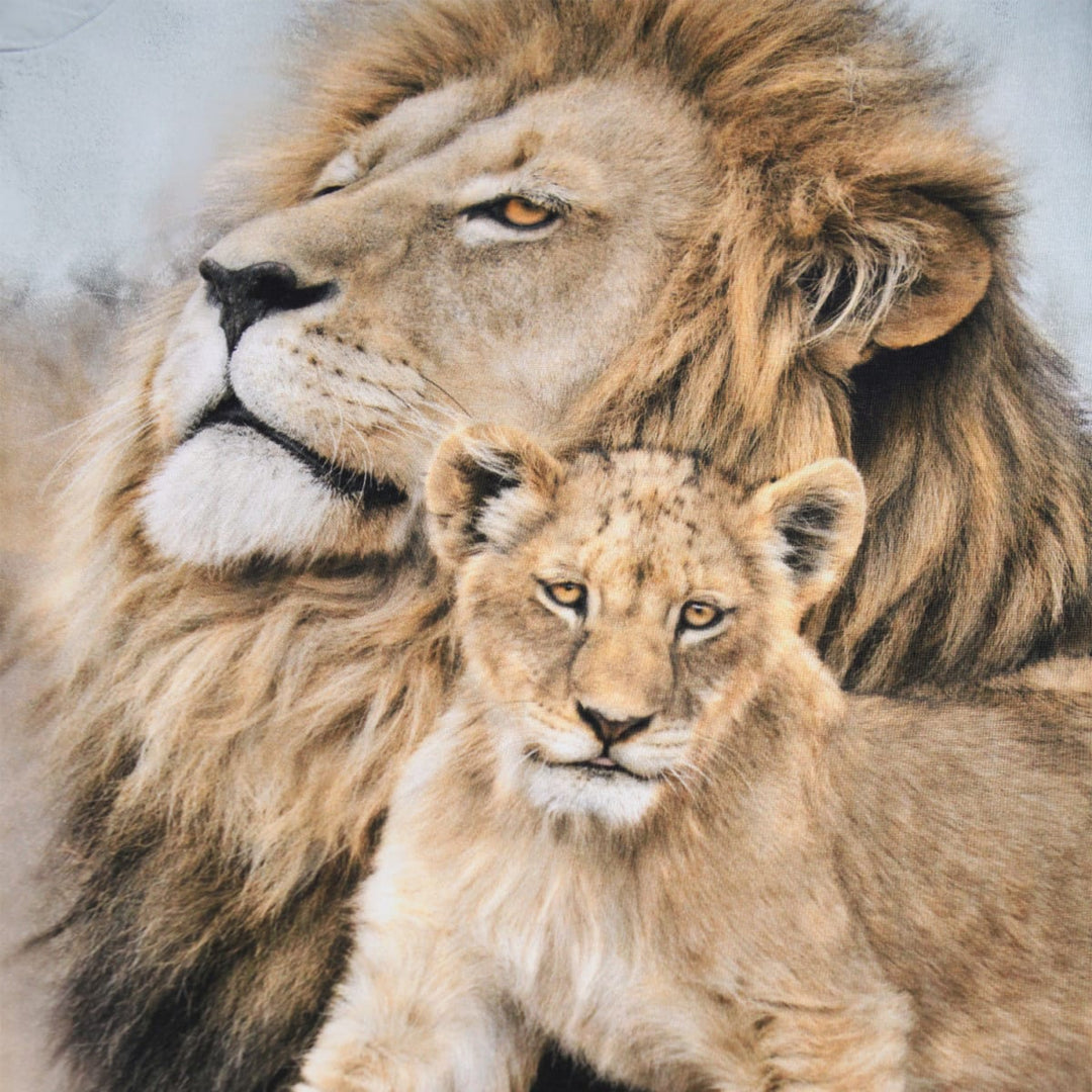 Reif - Lion Family