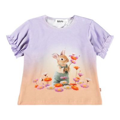 Eline - Dressy Rabbit