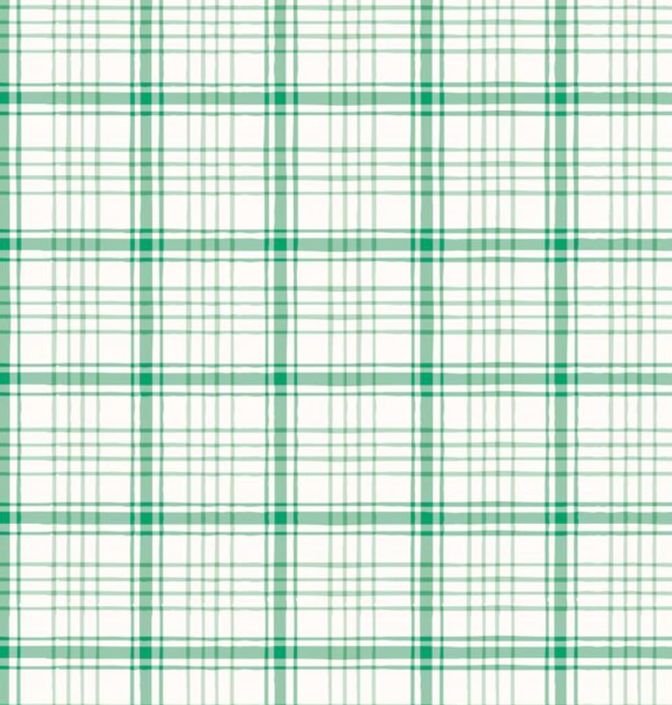 Boys Button Down - Winter Plaid