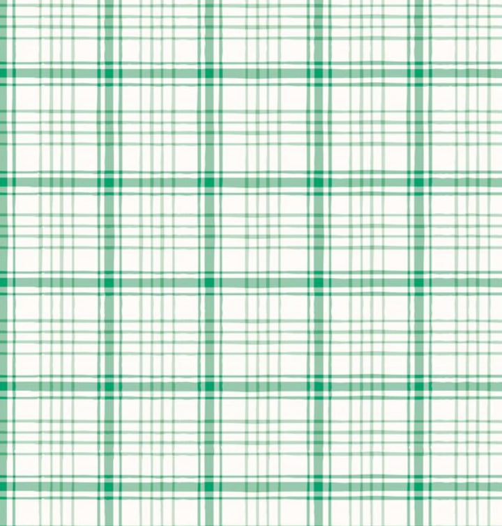 Boys Button Down - Winter Plaid