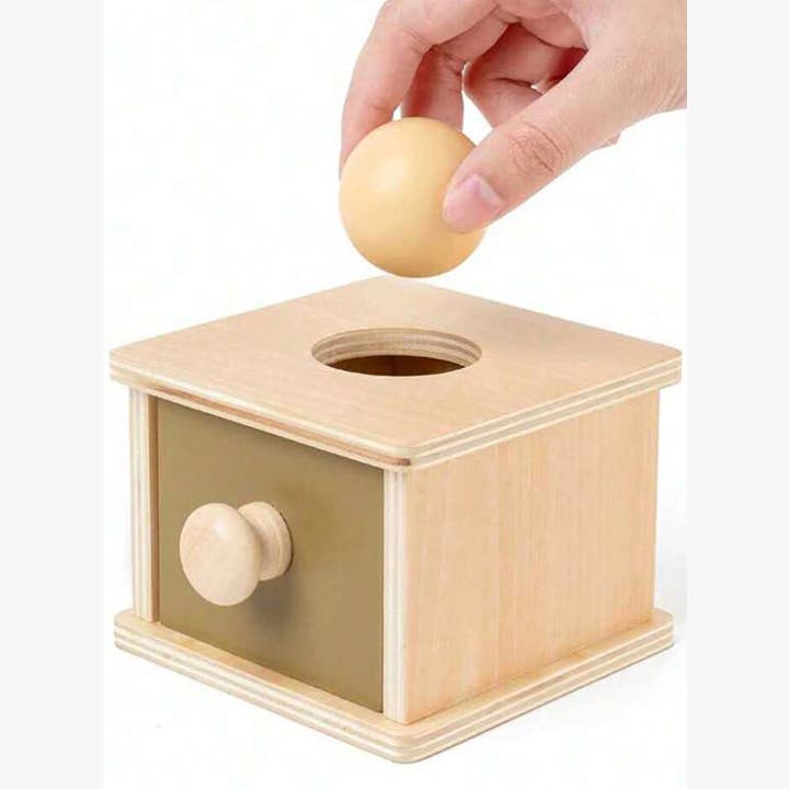 Montessori Ball Drop