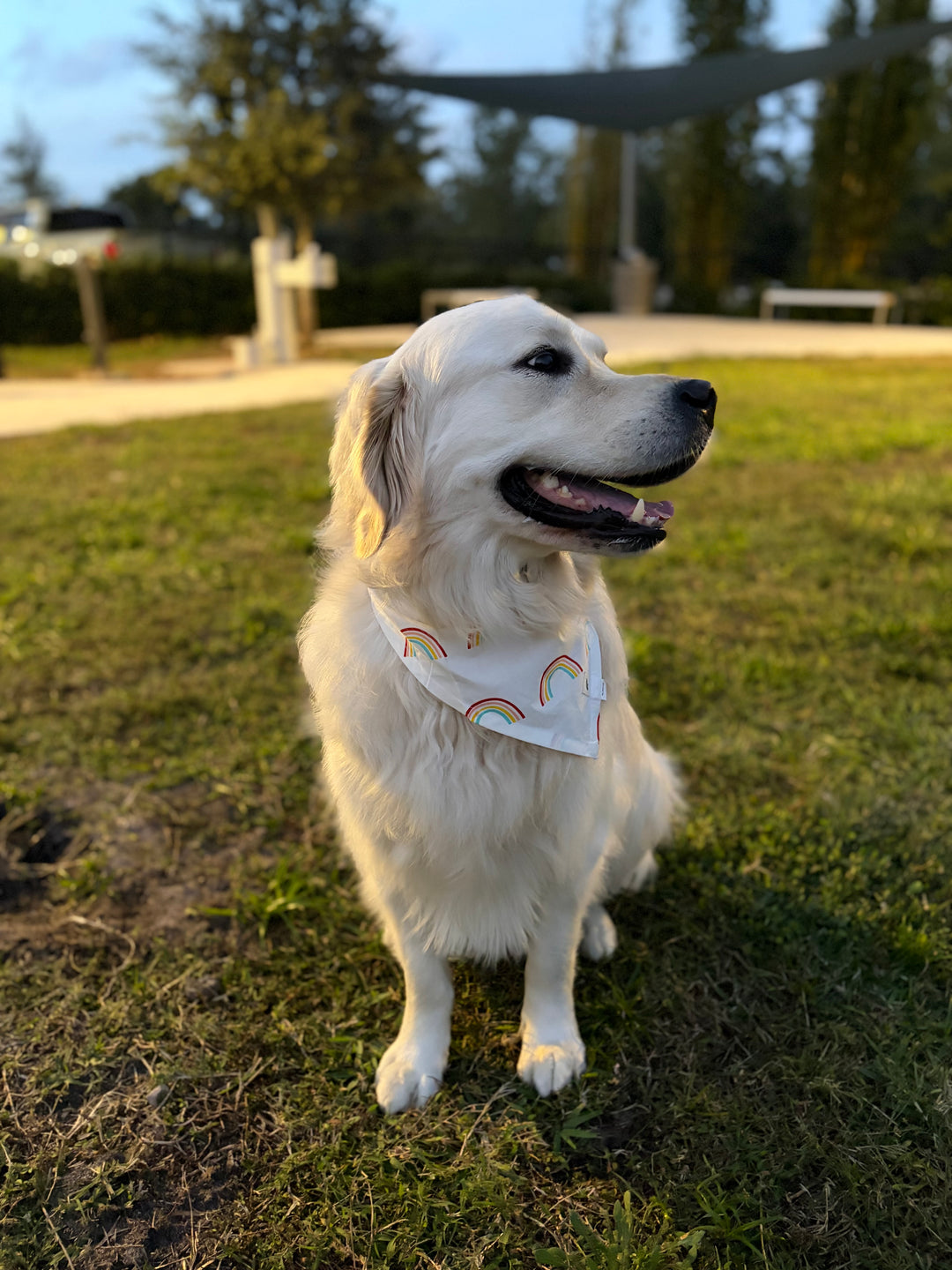 Pet Bandana - Rainbow