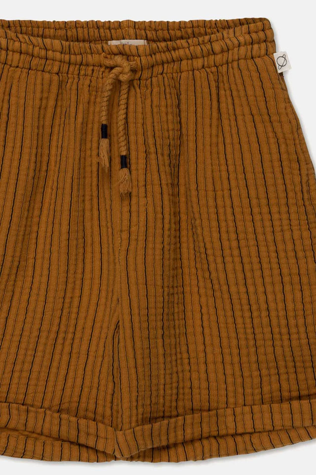 Gauze stripe bermuda shorts - Oil