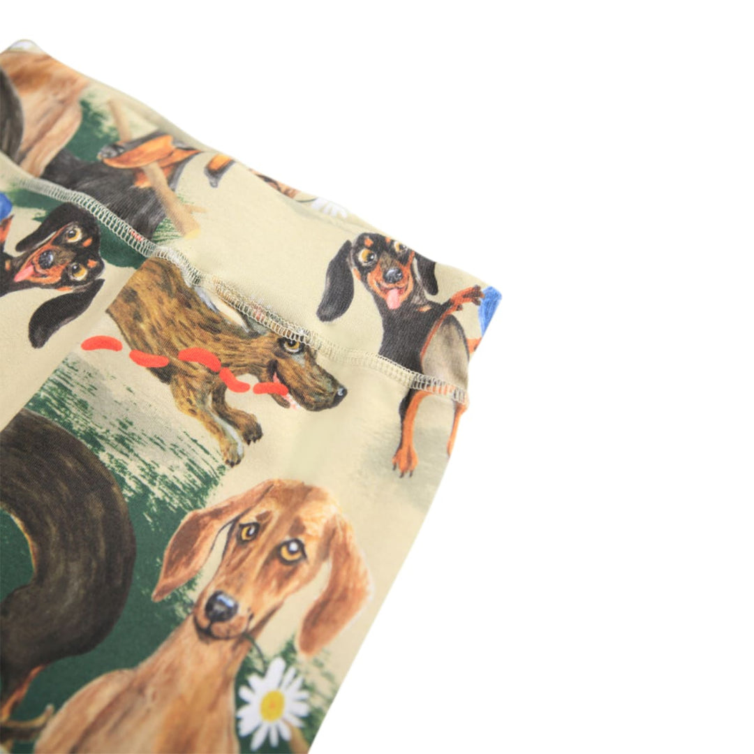 Sammy - Painted Dogs