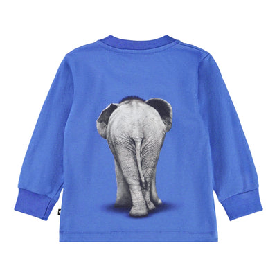 Eloy - Baby Elephant