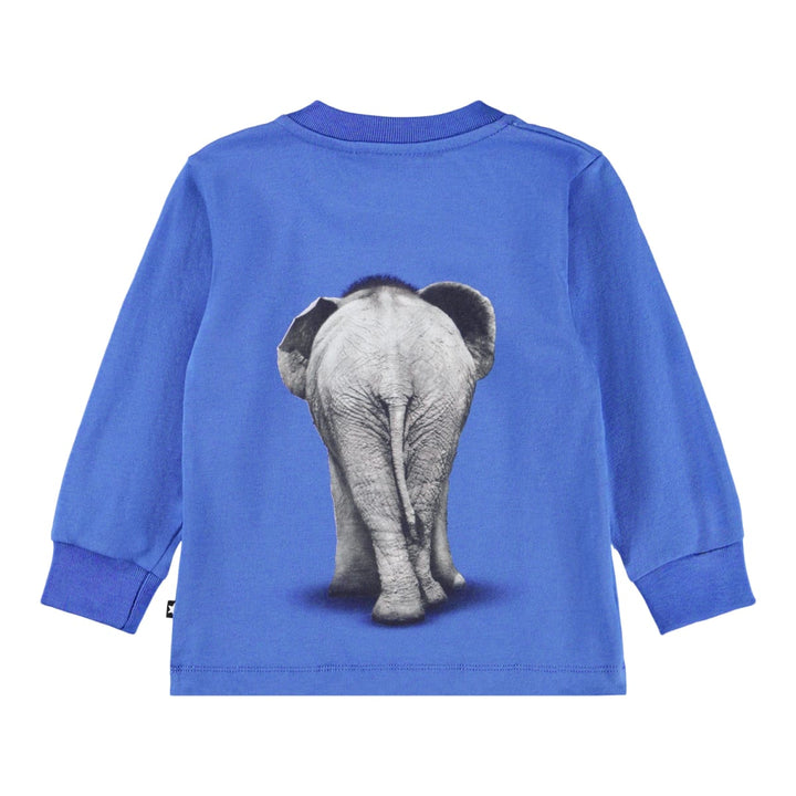 Eloy - Baby Elephant