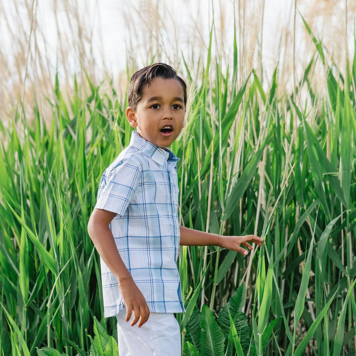 Stretch Short Sleeve Button Down Shirt - Classic Blue Tonal Plaid