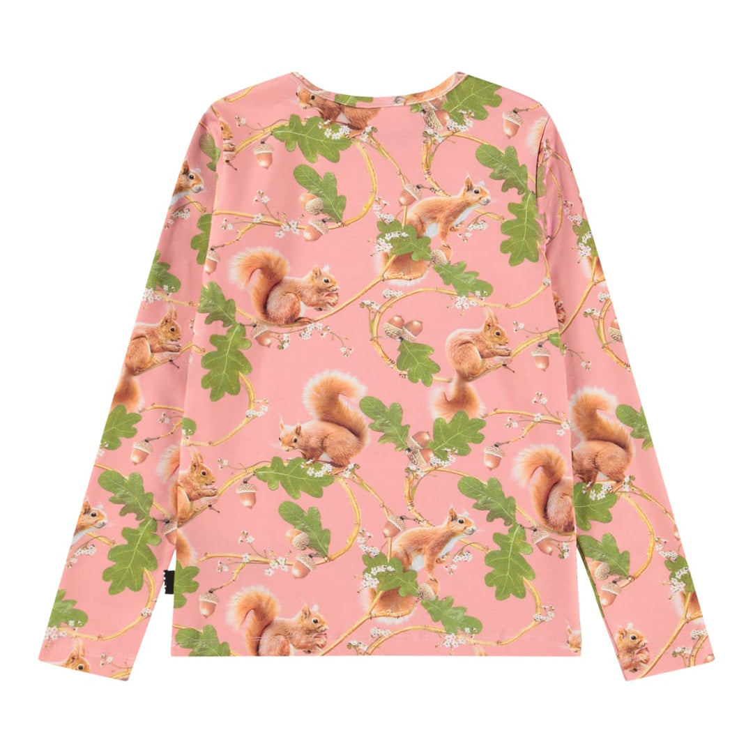 Rose - Squirrel Forest