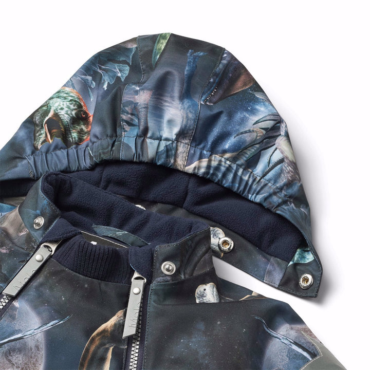 Pyxis - Dino in Space