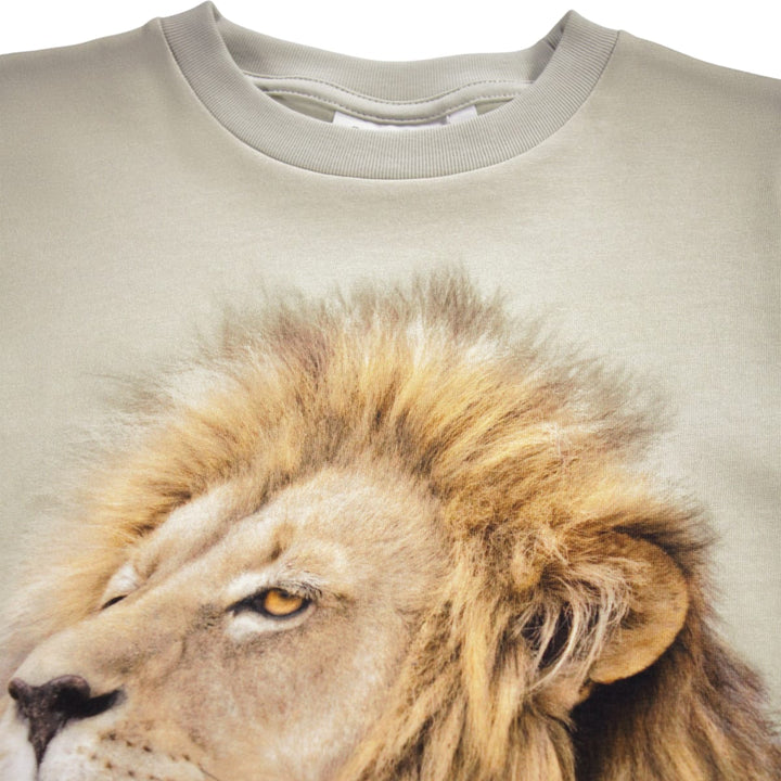 Roxo - Lions