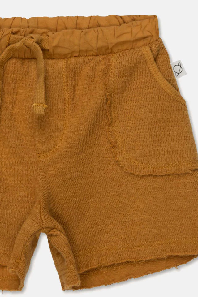 Double-face baby bermuda shorts - Oil