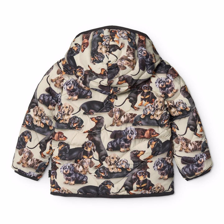 Harmony Jackets - Dashshund Soft