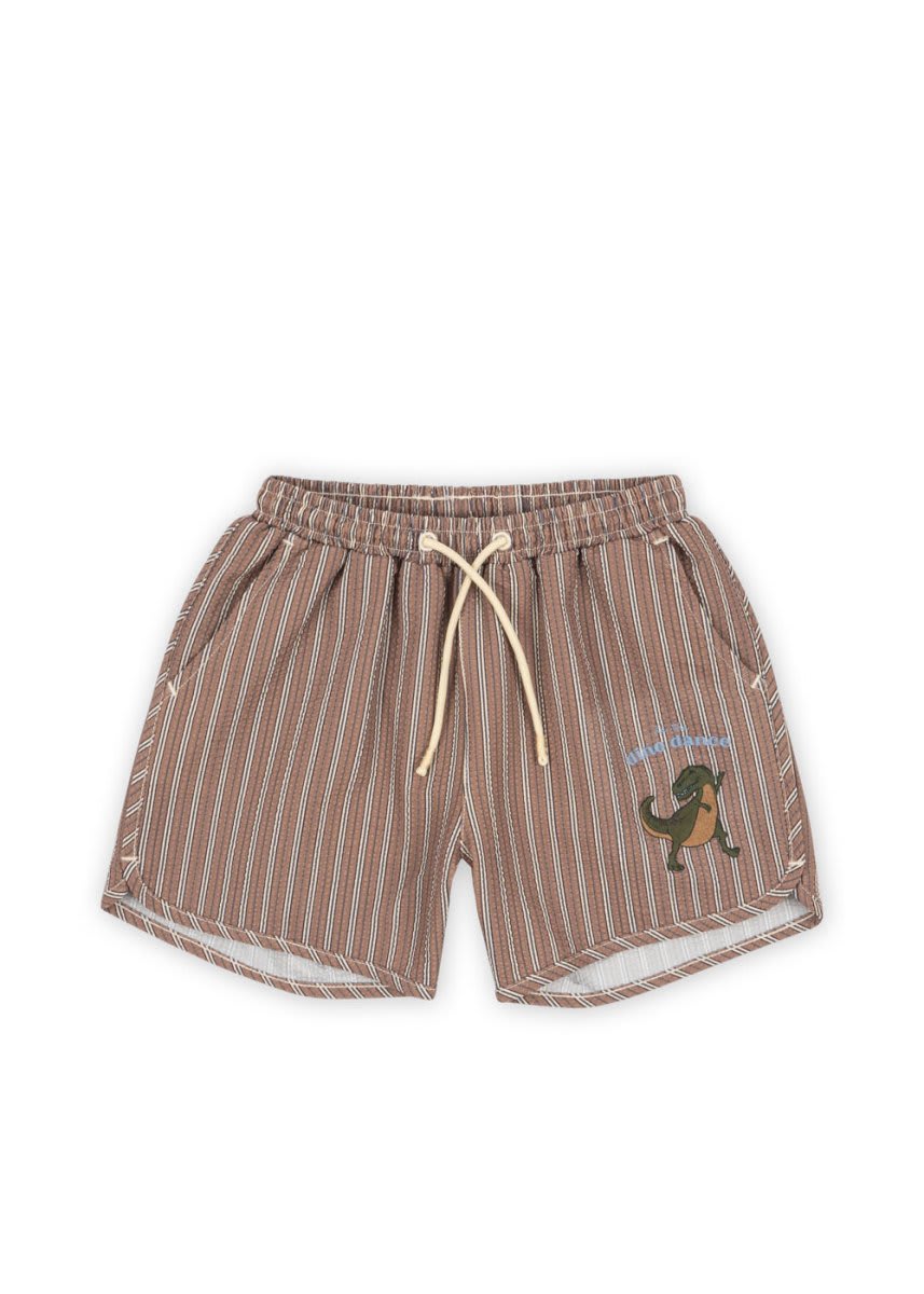 Kids Dino Swim Shorts