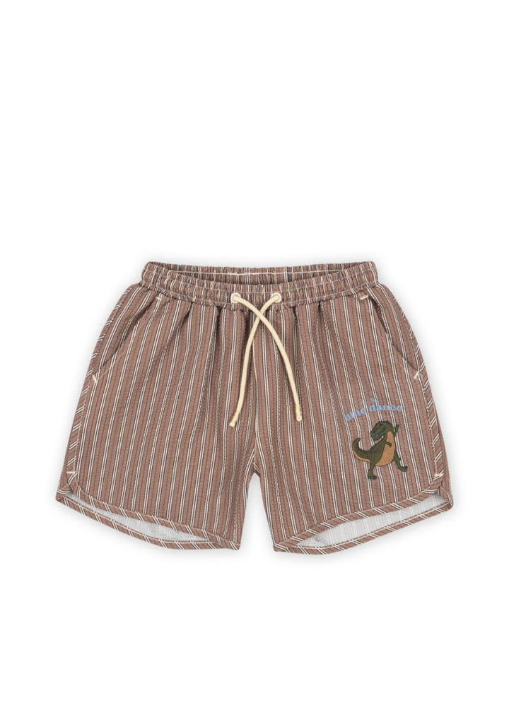 Kids Dino Swim Shorts